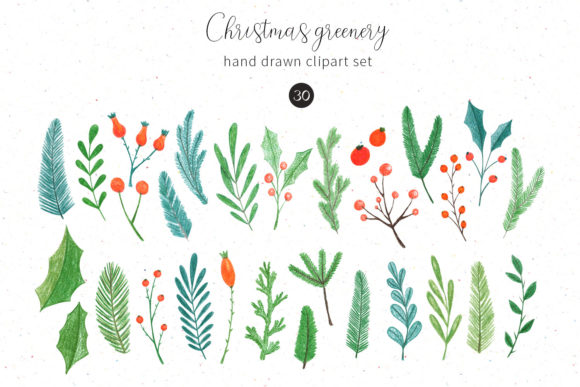 Christmas Greenery Review: Premium Illustrations for Seasonal Branding